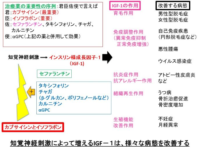 円形脱毛症　病院